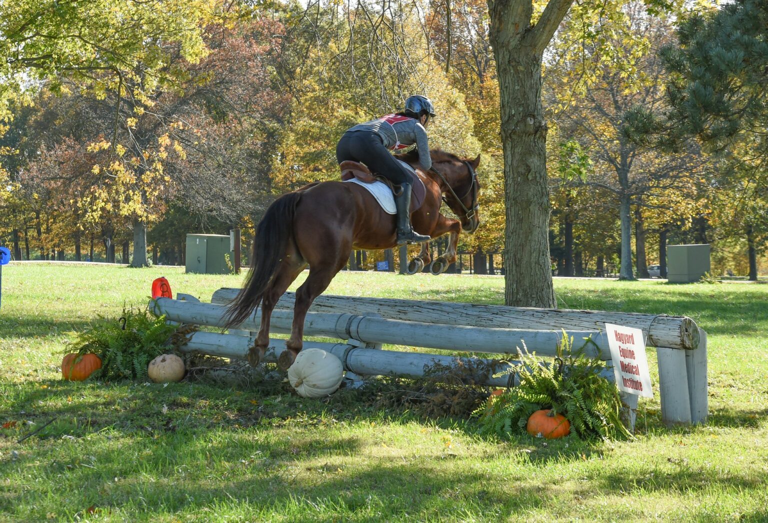 About Masterson Masterson Equestrian Trust